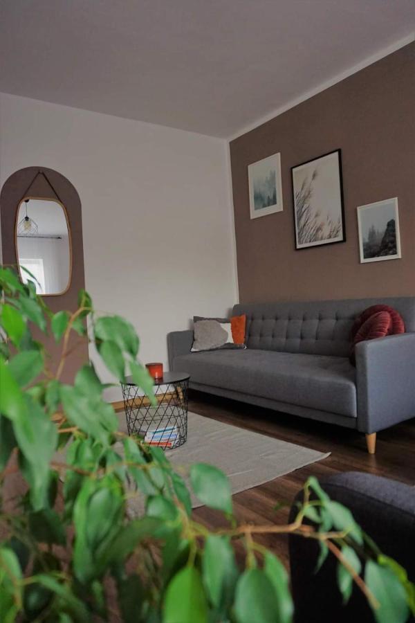 Cozy Apart Toplita Zewnętrze zdjęcie