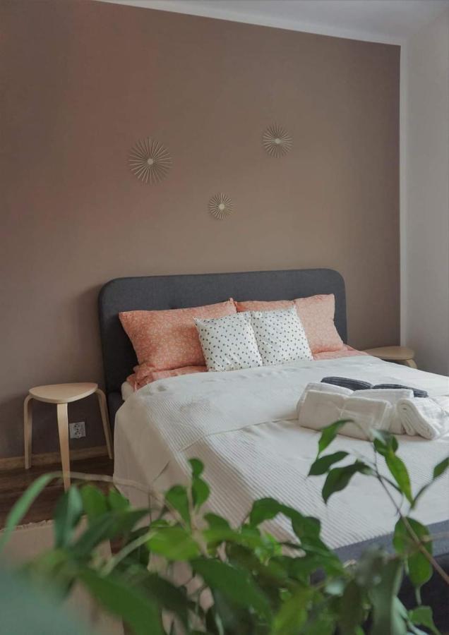 Cozy Apart Toplita Zewnętrze zdjęcie